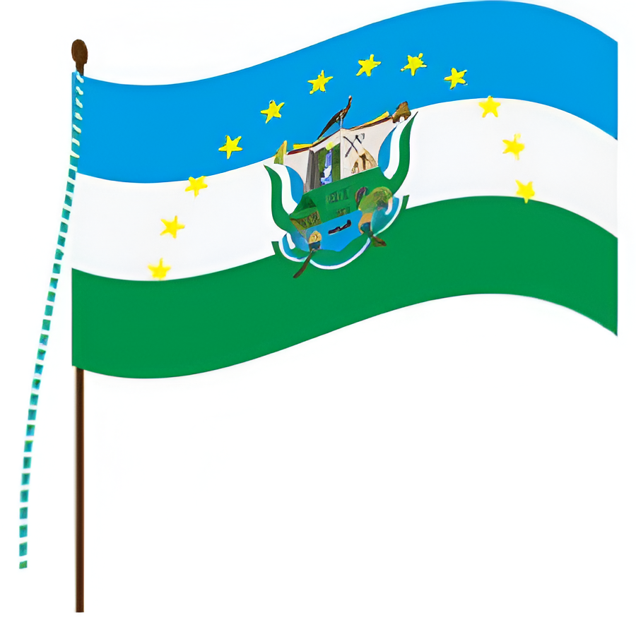 BANDERA Image