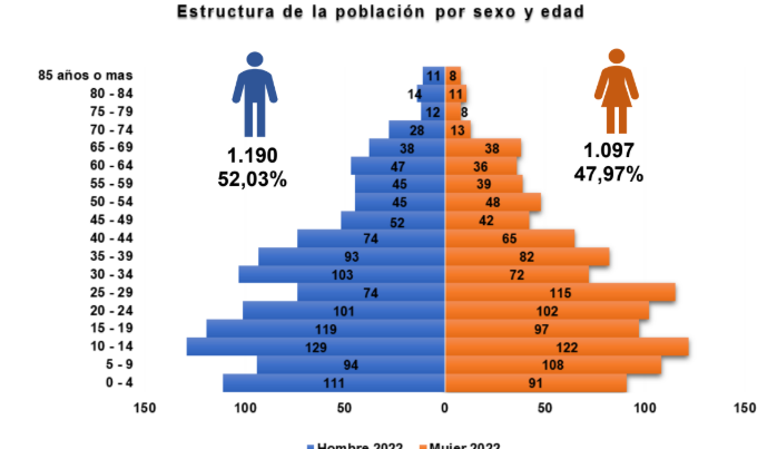 Pirámide de Población 2010- 2020 Image